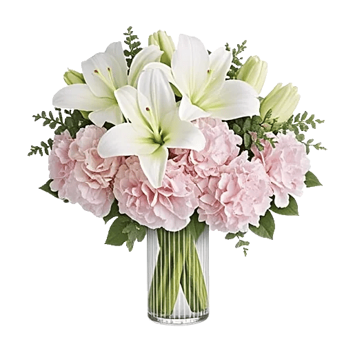 Ivory Blossom Radiance