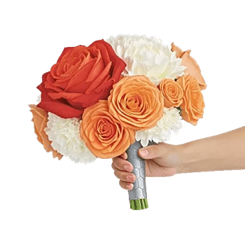 Petal Radiance Bliss