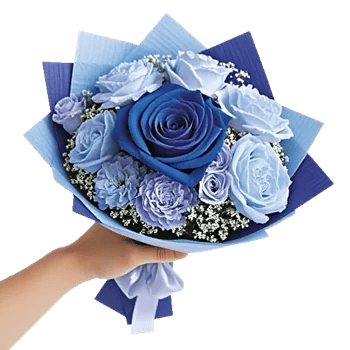 Elegant Blue Roses