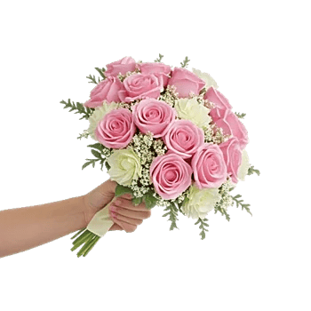 Blushing Rose Symphony