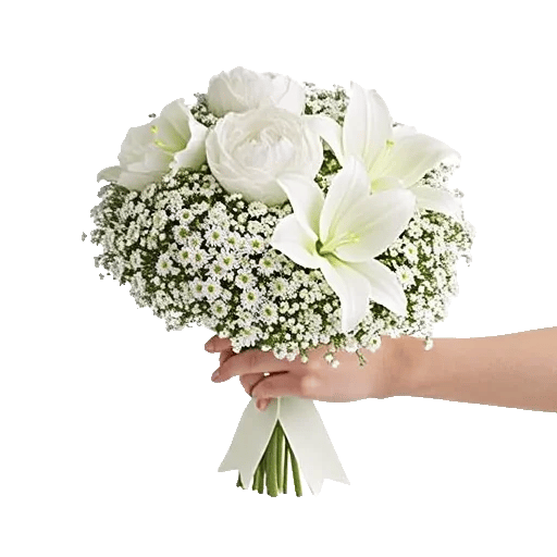 Ivory Blossom Radiance