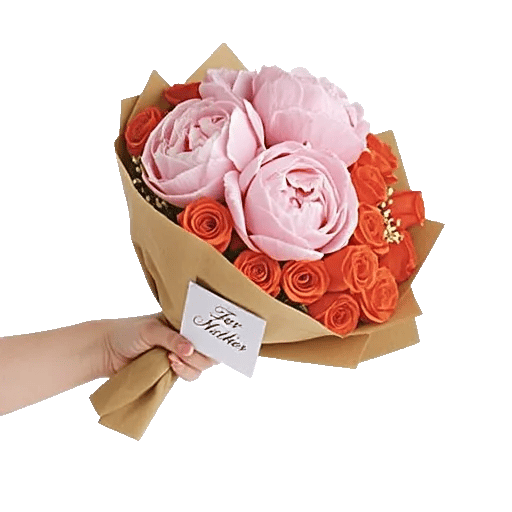 Peony Petal Harmony