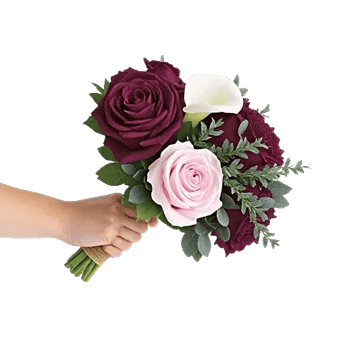 Elegant Calla Lilies