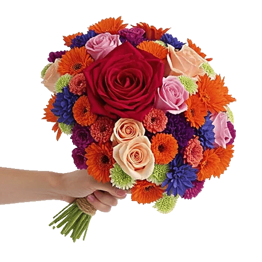 Blushing Rose Symphony