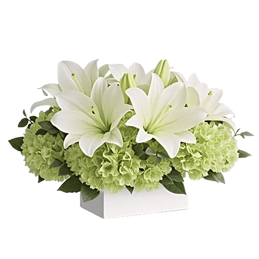 Graceful Lily Display