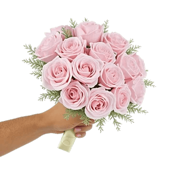 Pastel Pink Roses