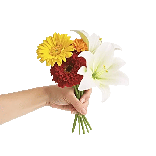 Blossom Harmony Display