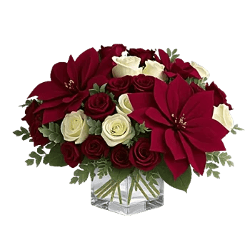 Petal Radiance Bliss