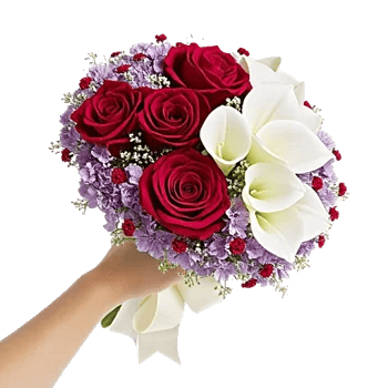 Crimson Rose Elegance