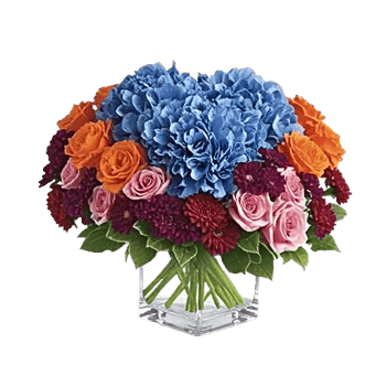 Sapphire Bloom Whisper