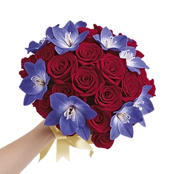 Elegant Blue Roses