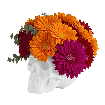 Modern White Orchids