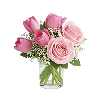 Velvet Tulip Display