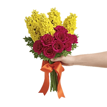 Ivory Blossom Radiance