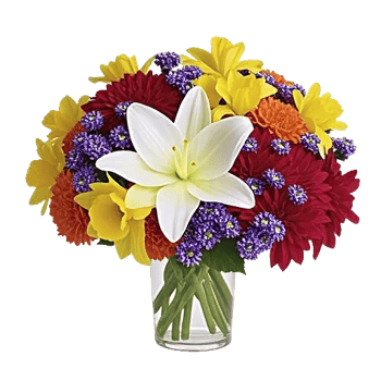 Graceful Lily Display