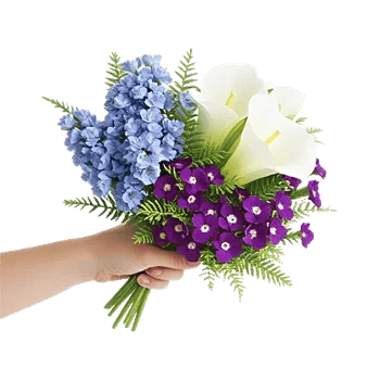 Blossom Petal Serenity