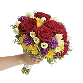 Crimson Rose Elegance
