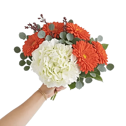 Ivory Blossom Radiance