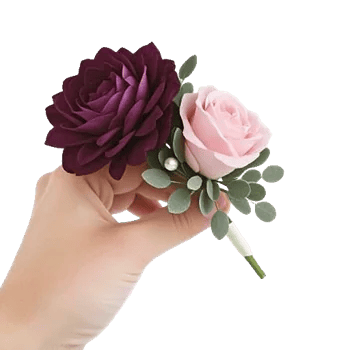 Plum Blossom Radiance