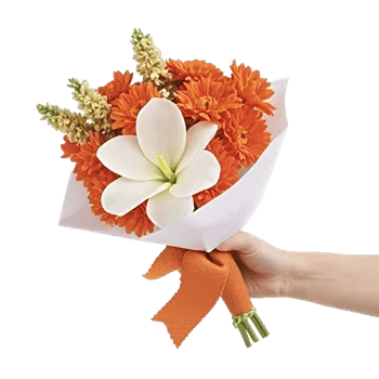 Blossom Grace Spread