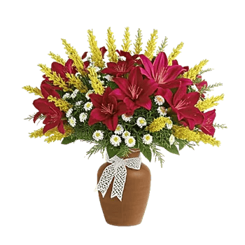 Ivory Blossom Radiance