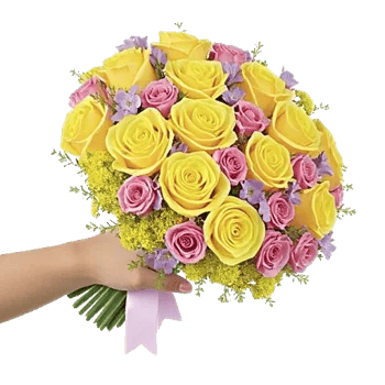 Pastel Pink Roses
