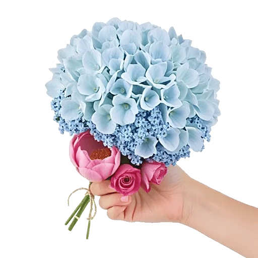 Serene Petal Harmony