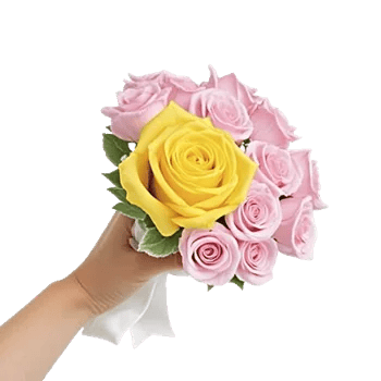 Golden Rose Radiance