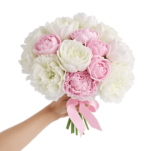 Peony Petal Harmony