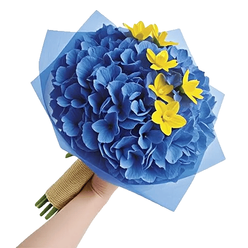 Sapphire Bloom Whisper