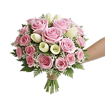 Pink Pastel Roses