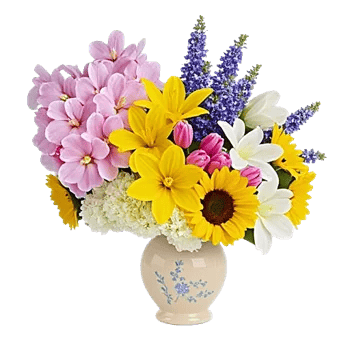 Orchid Bloom Cascade