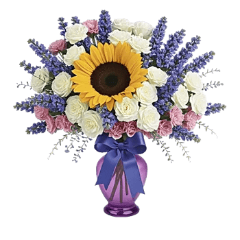 Vibrant Bloom Spectrum