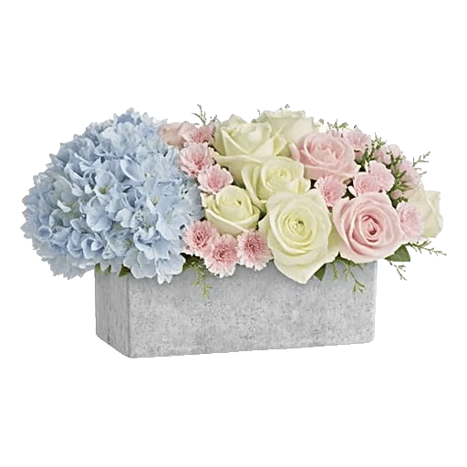 Serene Petal Harmony