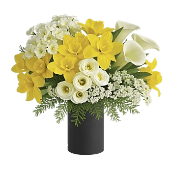 Elegant Calla Lilies