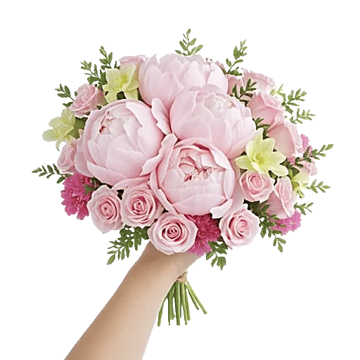 Peony Petal Harmony