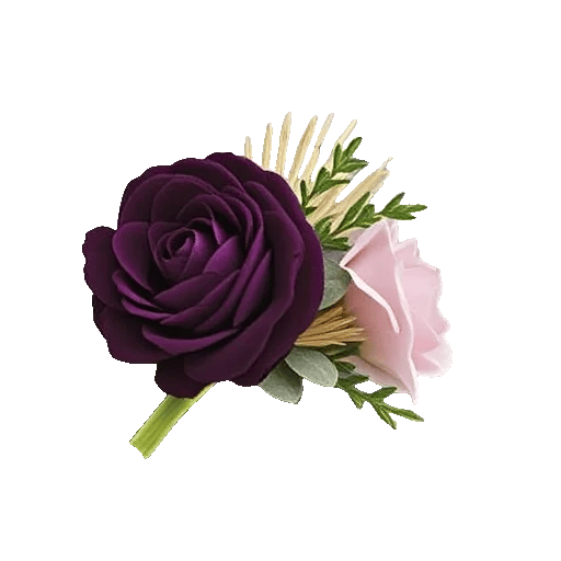 Plum Blossom Radiance