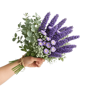 Lavender Bloom Grace