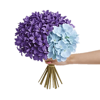Sapphire Bloom Whisper