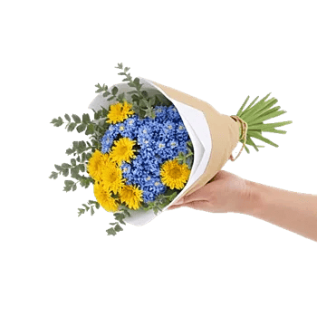 Blossom Petal Serenity