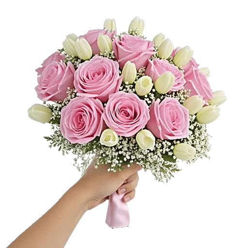 Pastel Pink Roses