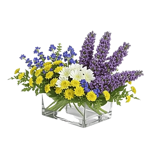 Lavender Bloom Grace