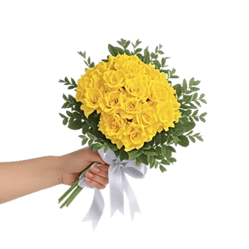 Blossom Harmony Display