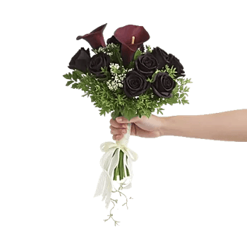 Elegant Calla Lilies