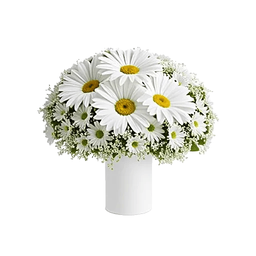 Graceful Lily Display