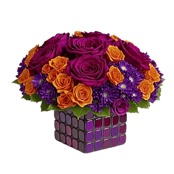 Petal Radiance Bliss