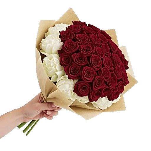 Crimson Rose Elegance