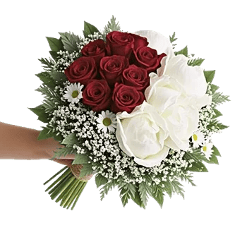 Blushing Rose Symphony