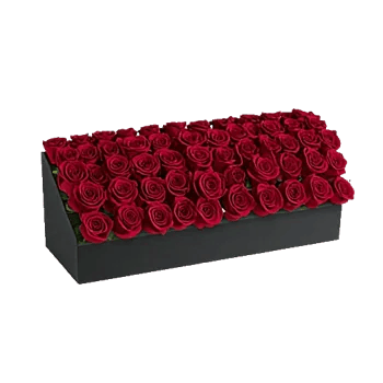 Crimson Rose Elegance