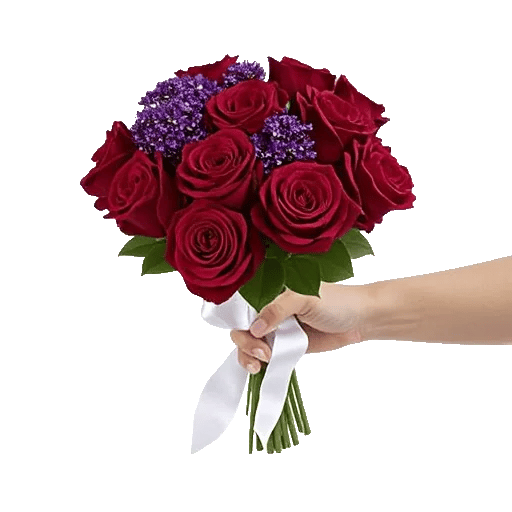 Crimson Rose Elegance